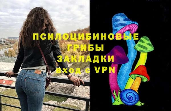 МДПВ Осташков