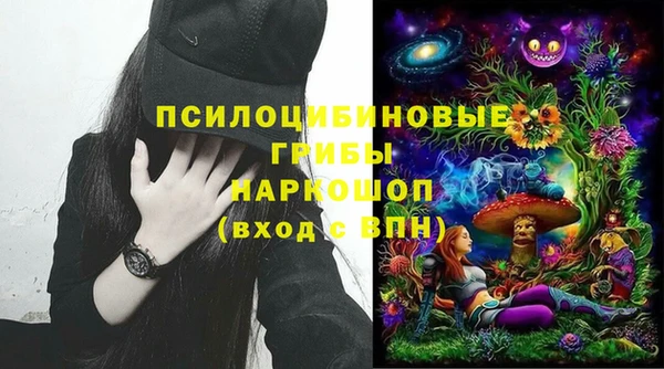 эйфоретик Осинники