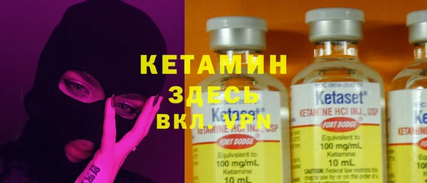 прущие грибы Пересвет